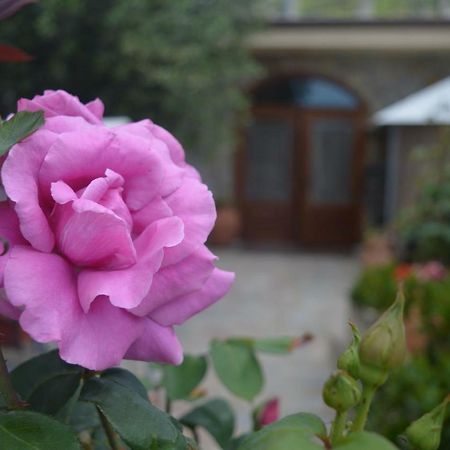 B&B Nonna Valentina Centola Extérieur photo