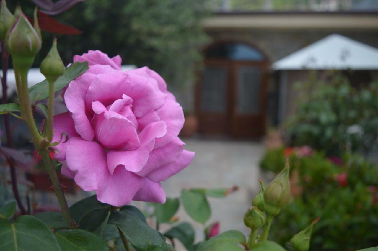 B&B Nonna Valentina Centola Extérieur photo