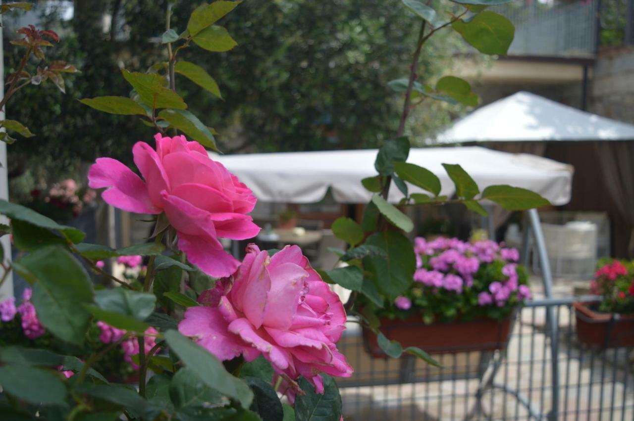 B&B Nonna Valentina Centola Extérieur photo