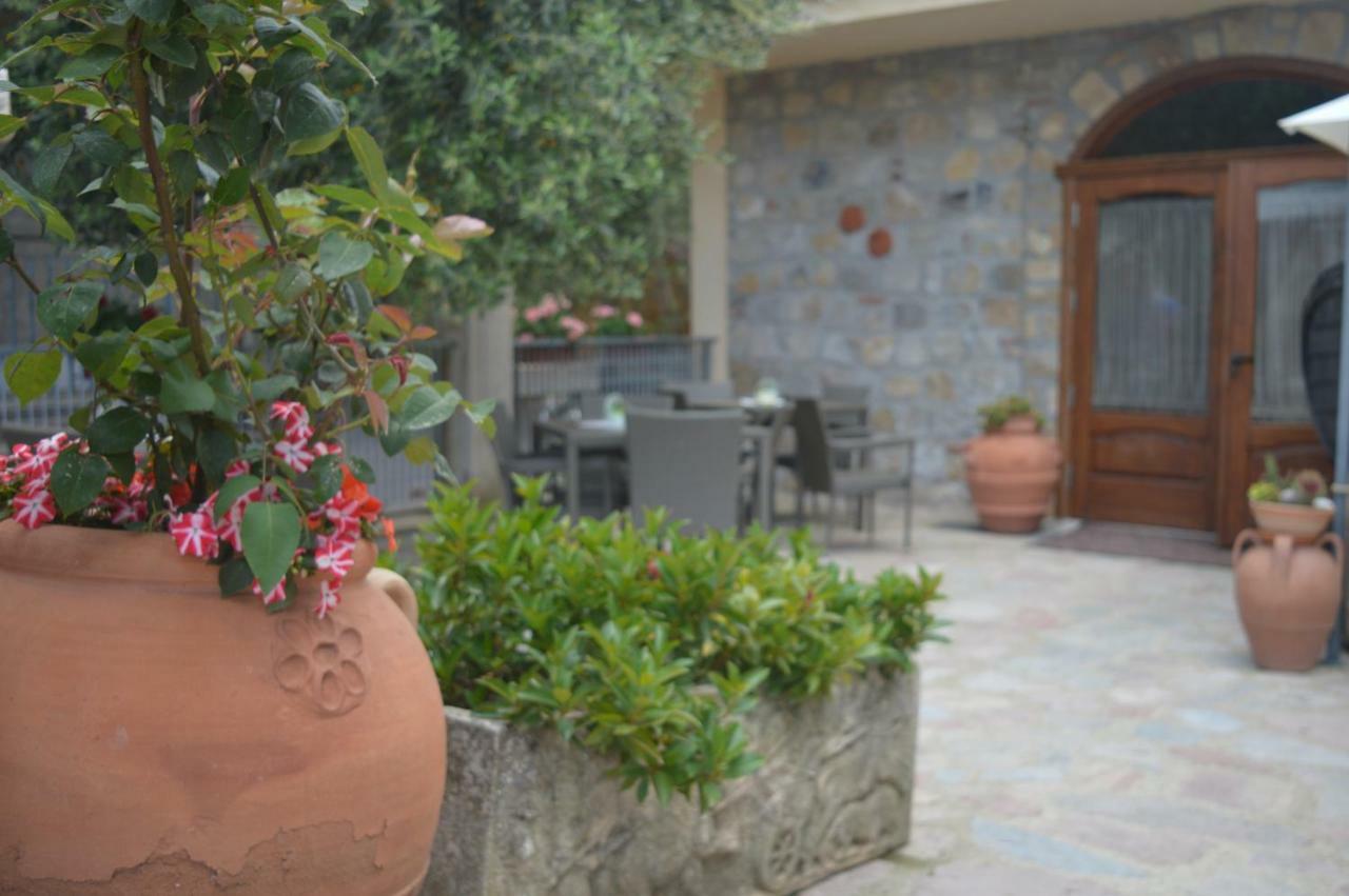 B&B Nonna Valentina Centola Extérieur photo